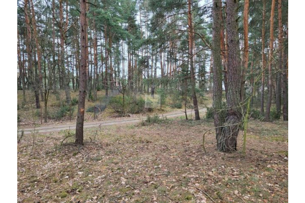 wołomiński, Klembów, Pasek, Działka 2422 m2, Dobczyn Pasek