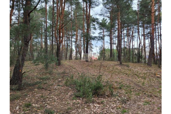 wołomiński, Klembów, Pasek, Działka 2422 m2, Dobczyn Pasek
