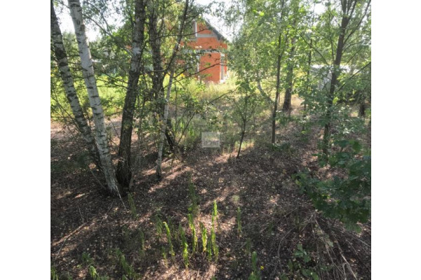 wołomiński, Wołomin, Stare Grabie, Działka na sprzedaż