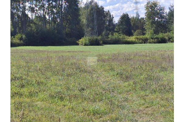 Dobczyn, Klembów, Działka na sprzedaż