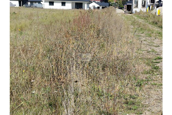 wołomiński, Klembów, Dobczyn, Sezamkowa, Działka na sprzedaż