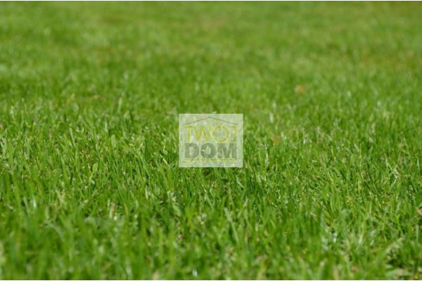 wołomiński, Wołomin, Reja, Działka pod zabudowę mieszkaniową ,blizniaczą.