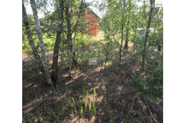 mazowieckie, wołomiński, Wołomin, Stare Grabie, Atrakcyjna działka z warunkami zabudowy